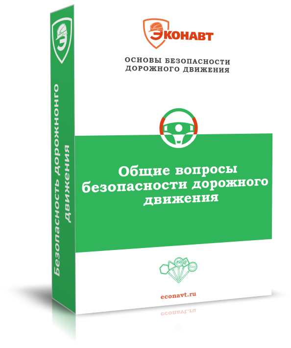 Общие вопросы безопасности дорожного движения